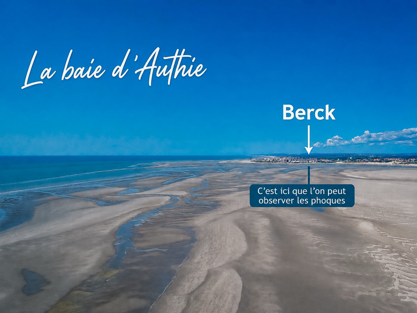 Vue aérienne de la Baie d'Authie indiquant le point d'observation des phoques côté Berck