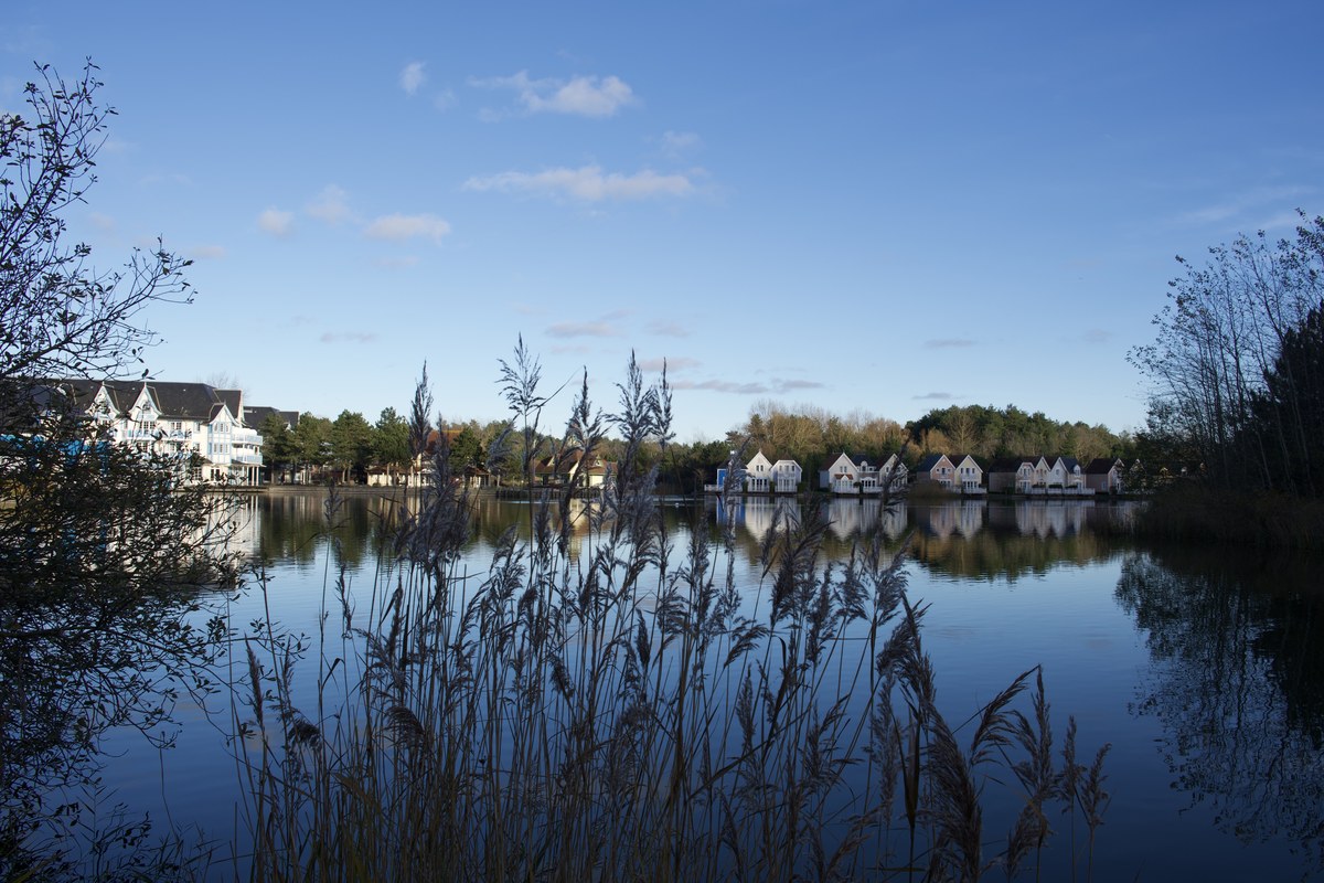 Le lac de Belle Dune bordé de roseaux, avec les maisons du domaine en arrière-plan