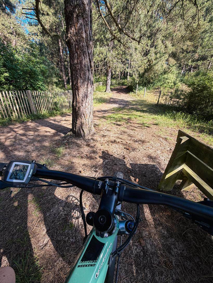 Guidon de vélo sur un chemin bordé de ganivelles dans la forêt de pins